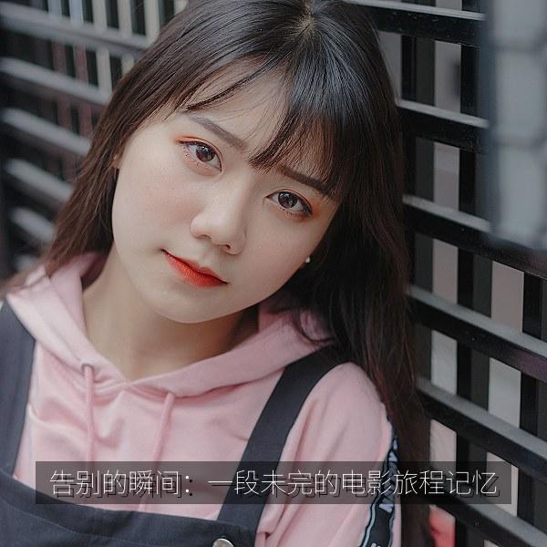 告别的瞬间：一段未完的电影旅程记忆 海报