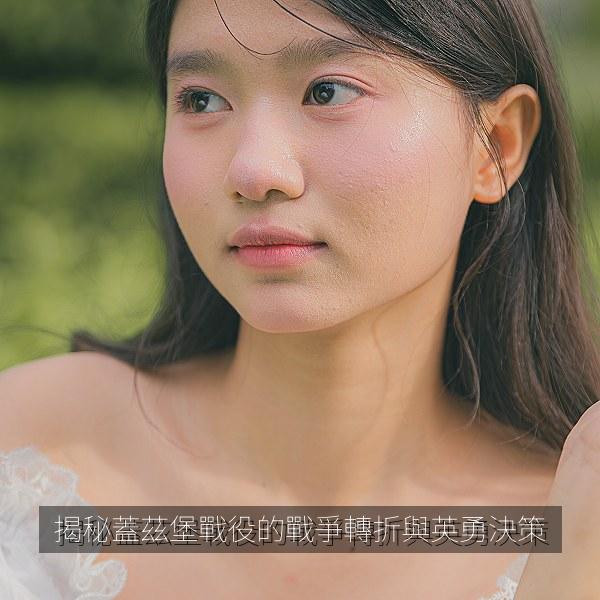 揭秘蓋茲堡戰役的戰爭轉折與英勇決策 海报