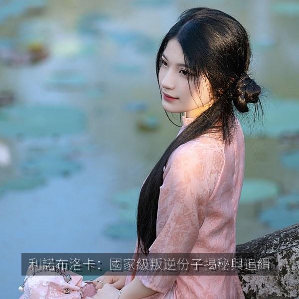 利諾布洛卡：國家級叛逆份子揭秘與追緝 剧照