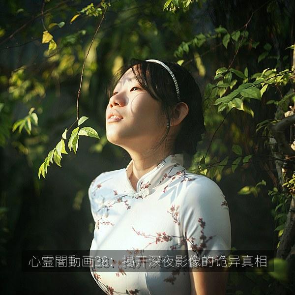 心霊闇動画38：揭开深夜影像的诡异真相