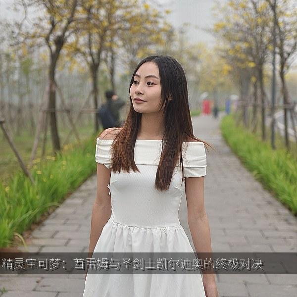 精灵宝可梦：酋雷姆与圣剑士凯尔迪奥的终极对决 海报