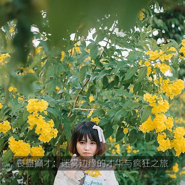 喪盡癲才：迷雾边缘的才华与疯狂之旅 海报