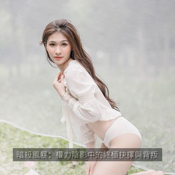 暗殺風暴：權力陰影中的終極抉擇與背叛 海报
