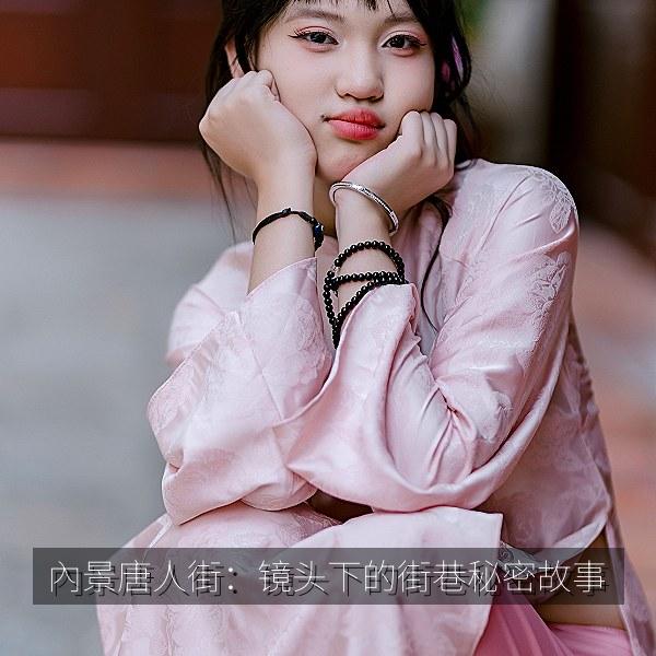 內景唐人街：镜头下的街巷秘密故事 海报