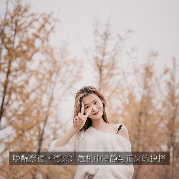 唤醒奈德·德文：危机中冷静与正义的抉择