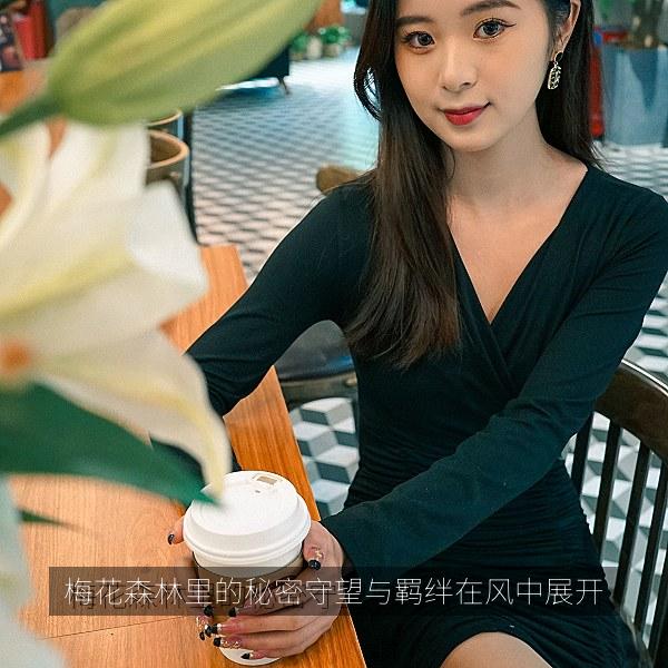梅花森林里的秘密守望与羁绊在风中展开 海报