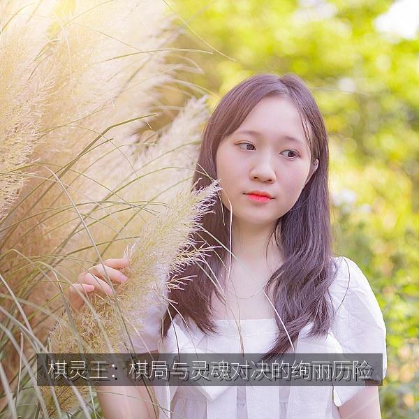 棋灵王：棋局与灵魂对决的绚丽历险