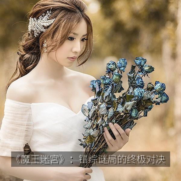《魔王迷宮》：错综谜局的终极对决