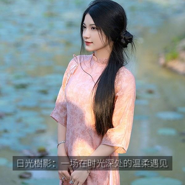 日光樹影：一场在时光深处的温柔遇见