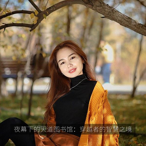 夜幕下的天道图书馆：穿越者的智慧之境