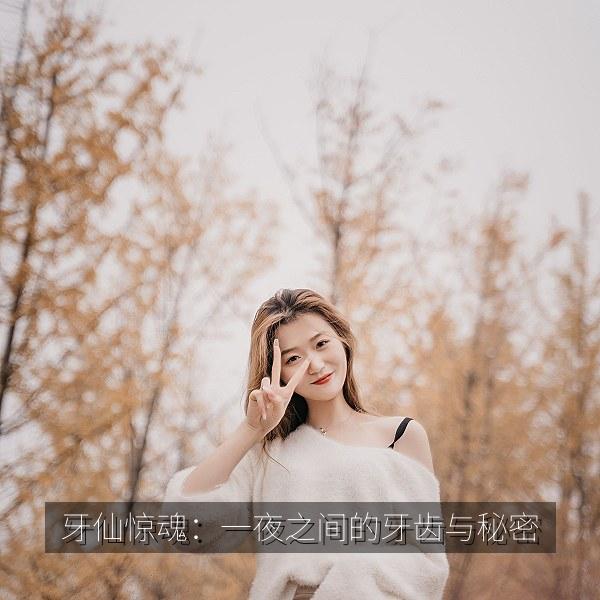 牙仙惊魂：一夜之间的牙齿与秘密