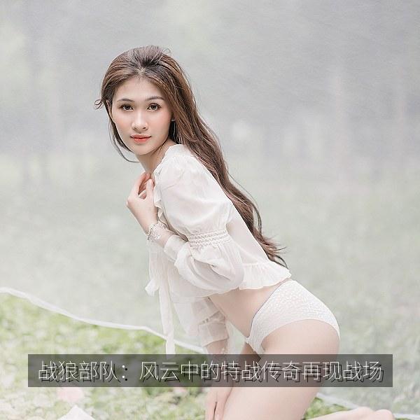 战狼部队：风云中的特战传奇再现战场