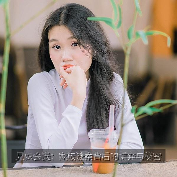 兄妹会議：家族谜案背后的博弈与秘密 海报