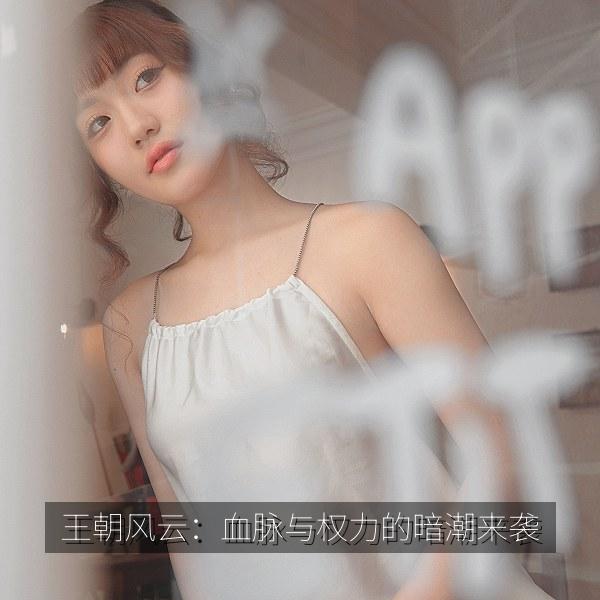王朝风云：血脉与权力的暗潮来袭