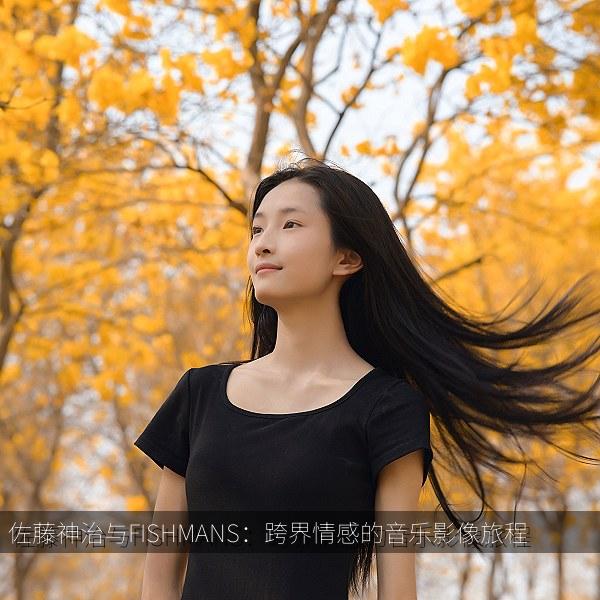 佐藤神治与FISHMANS：跨界情感的音乐影像旅程相关影视海报