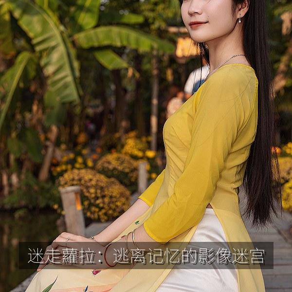 迷走蘿拉：逃离记忆的影像迷宫 海报