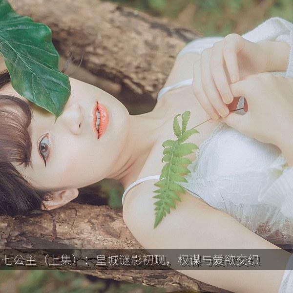 七公主（上集）：皇城谜影初现，权谋与爱欲交织 纪录片