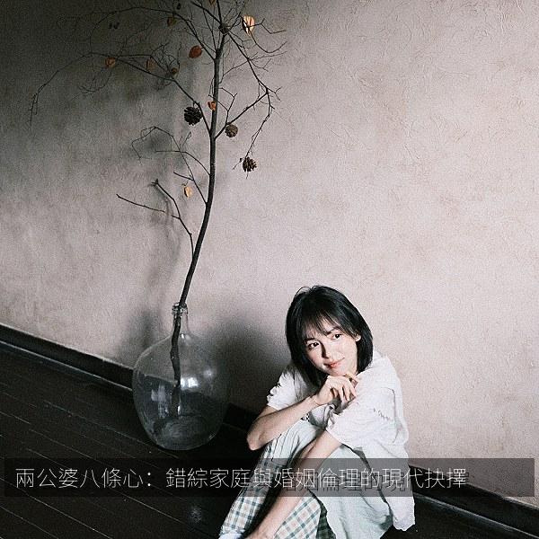 兩公婆八條心：錯綜家庭與婚姻倫理的現代抉擇 封面