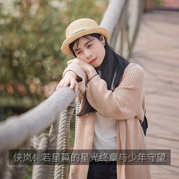 侠岚：若星篇的星光终章与少年守望 海报