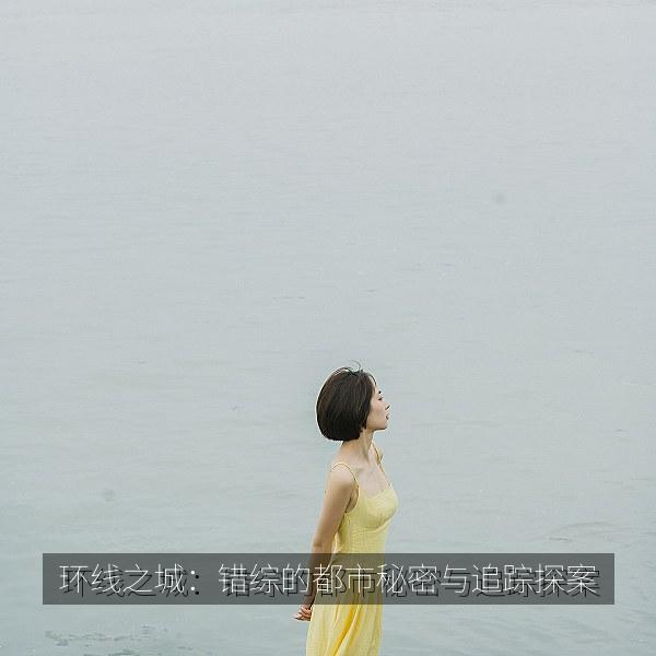环线之城：错综的都市秘密与追踪探案