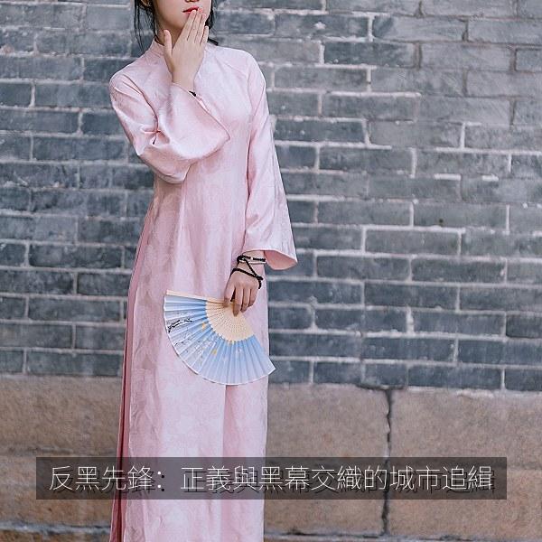 反黑先鋒：正義與黑幕交織的城市追緝