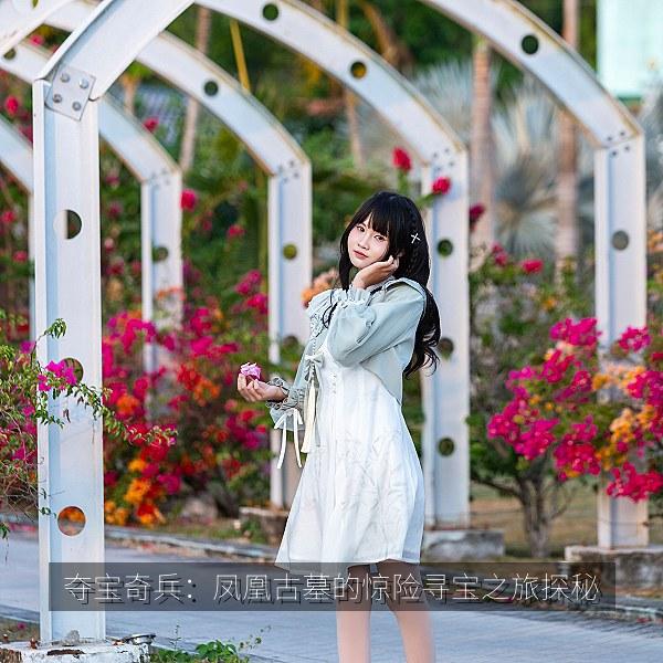夺宝奇兵：凤凰古墓的惊险寻宝之旅探秘 海报