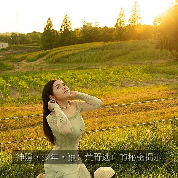 神隱·少年·狼：荒野逃亡的秘密揭示 海报
