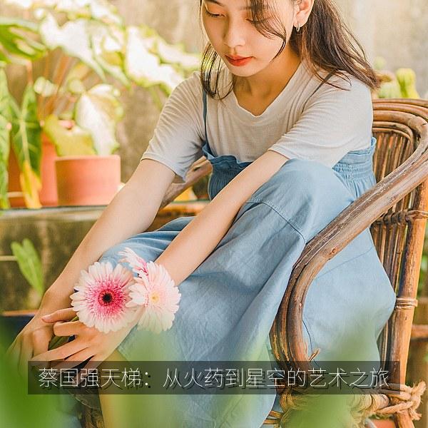 蔡国强天梯：从火药到星空的艺术之旅 海报