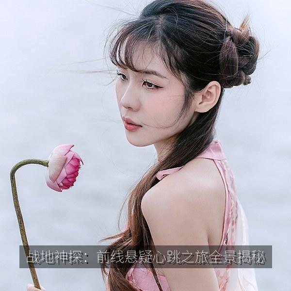战地神探：前线悬疑心跳之旅全景揭秘