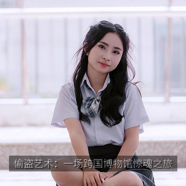 偷盗艺术：一场跨国博物馆惊魂之旅