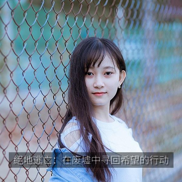 絕地逃亡：在废墟中寻回希望的行动