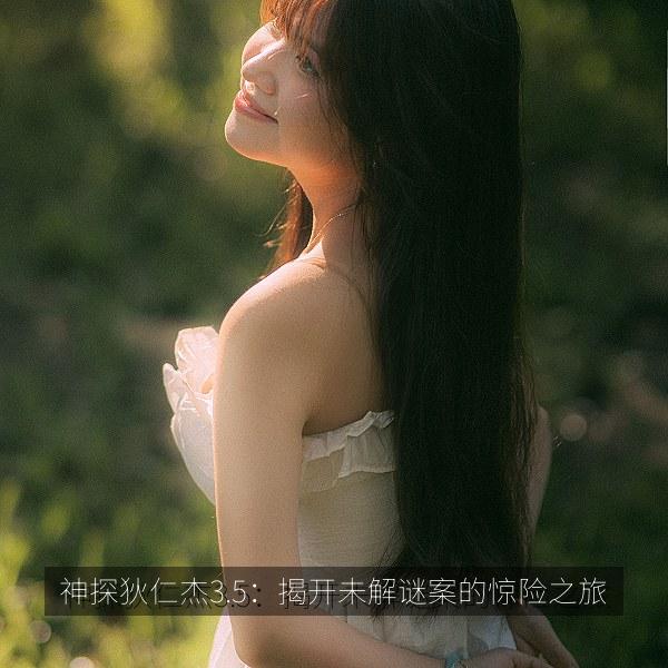 神探狄仁杰3.5：揭开未解谜案的惊险之旅 相关推荐