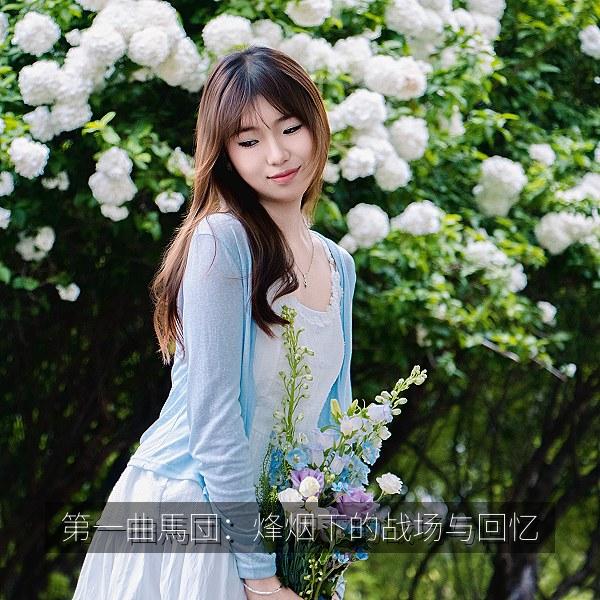 第一曲馬団：烽烟下的战场与回忆 海报