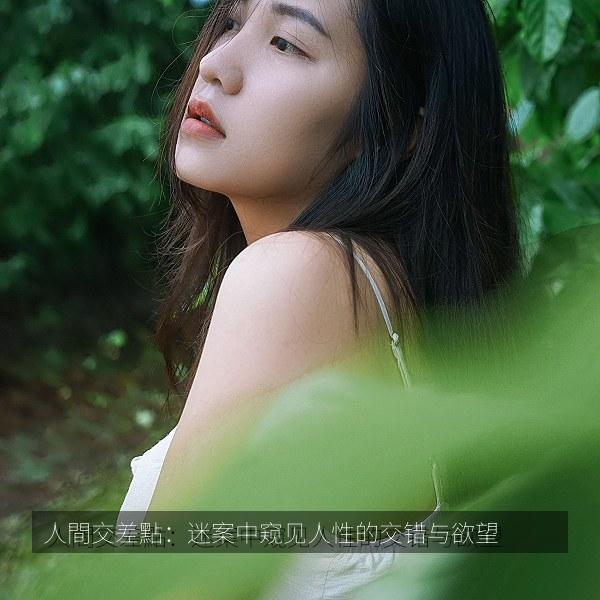 人間交差點：迷案中窥见人性的交错与欲望 剧照