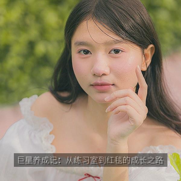 巨星养成记：从练习室到红毯的成长之路 海报