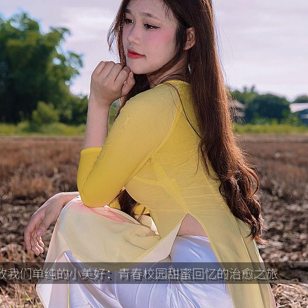 致我们单纯的小美好：青春校园甜蜜回忆的治愈之旅 封面