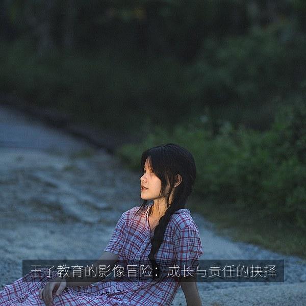 王子教育的影像冒险：成长与责任的抉择