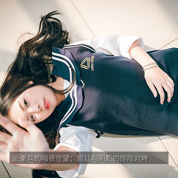 近衛兵的暗夜守望：宫廷与阴影的惊险对峙相关影视海报