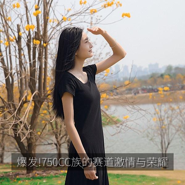 爆发!750CC族的赛道激情与荣耀 海报