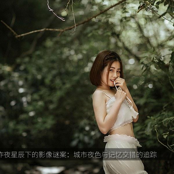 昨夜星辰下的影像谜案:城市夜色与记忆交错的追踪 海报