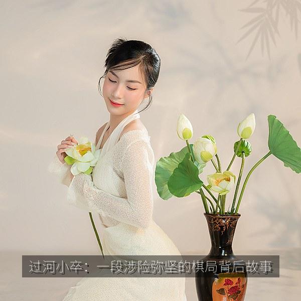 过河小卒：一段涉险弥坚的棋局背后故事 海报