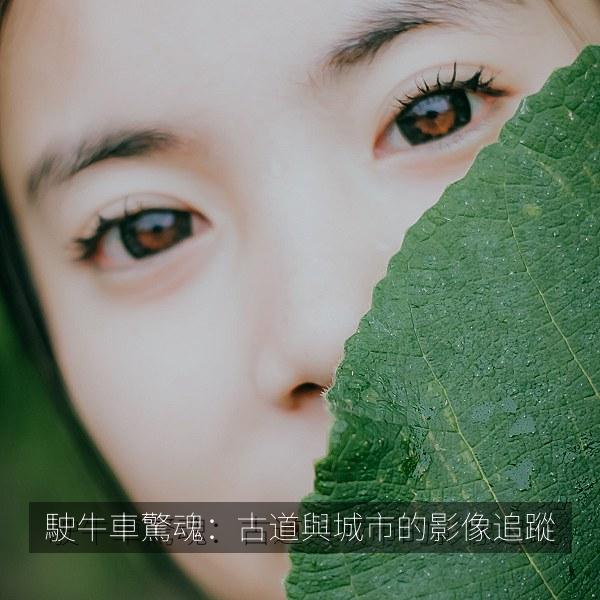 駛牛車驚魂：古道與城市的影像追蹤 海报