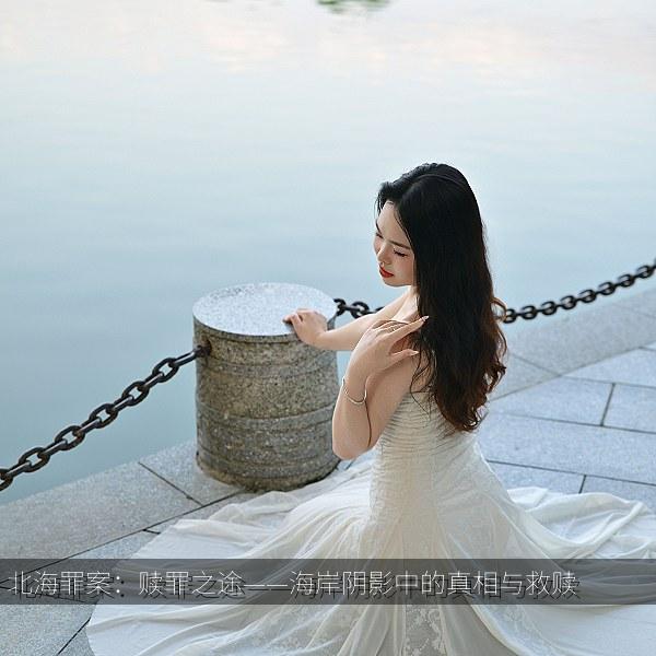 北海罪案：赎罪之途——海岸阴影中的真相与救赎 海报