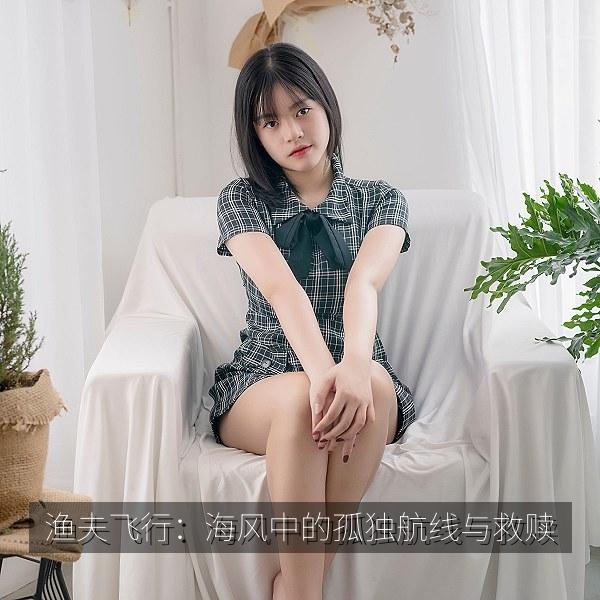 渔夫飞行：海风中的孤独航线与救赎 海报