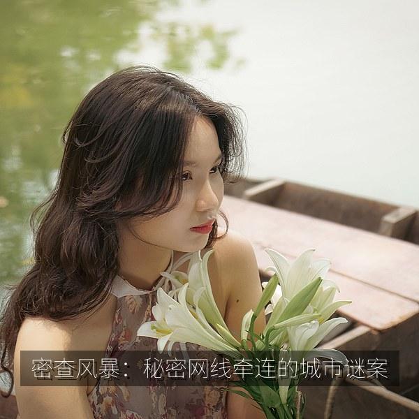 密查风暴：秘密网线牵连的城市谜案