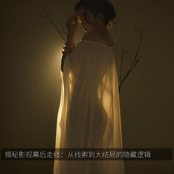 揭秘影视幕后走线：从线索到大结局的隐藏逻辑相关影视海报