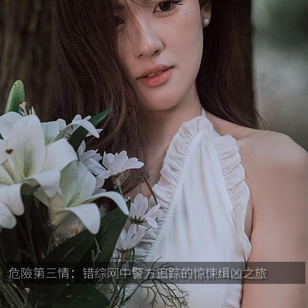 危險第三情：错综网中警方追踪的惊悚缉凶之旅