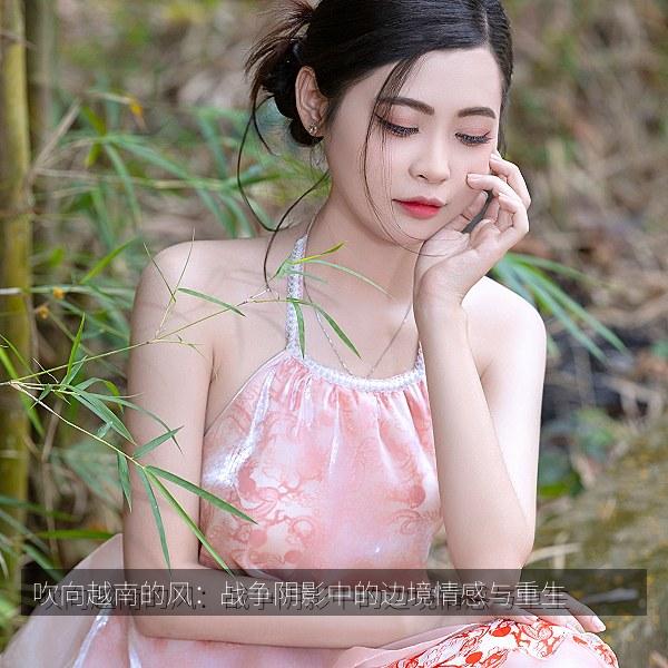 吹向越南的风：战争阴影中的边境情感与重生