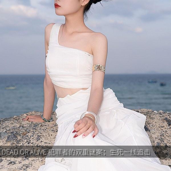 DEAD OR ALIVE 犯罪者的双重谜案：生死一线追击