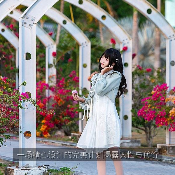 一场精心设计的完美计划揭露人性与代价 封面